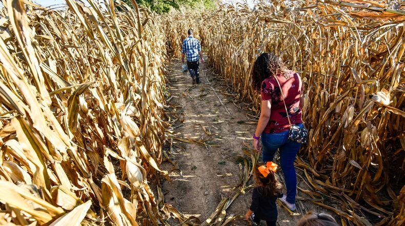 A view of the Jackson Family Farm on West Alexandria Road in Madison Twp. FILE PHOTO