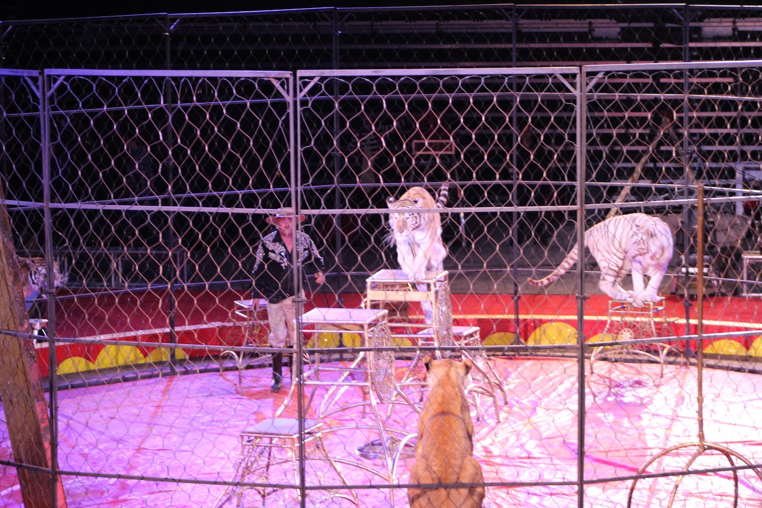 PHOTOS: Antioch Shrine Circus at UD Arena