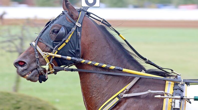 Foiled Again races at the Red Mile race track in Lexington, Ky. Photo courtesy of US Trotting Association