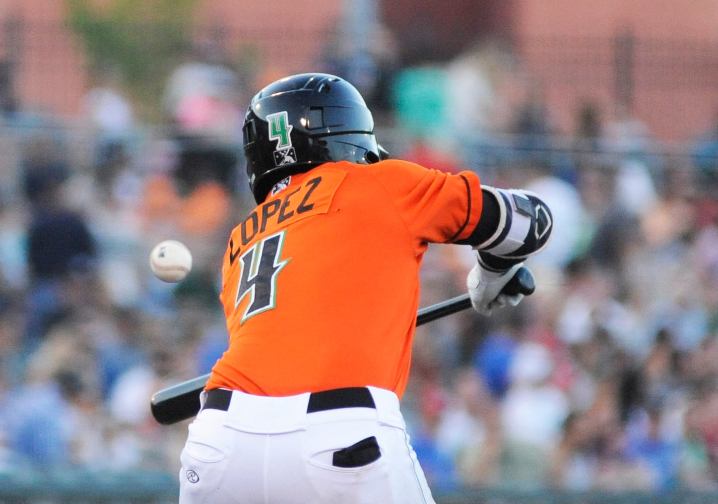 Dragons photo gallery