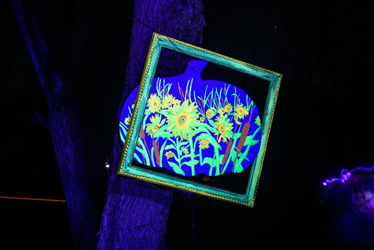 PHOTOS: 2024 Pumpkin Glow at Caesar Ford Park