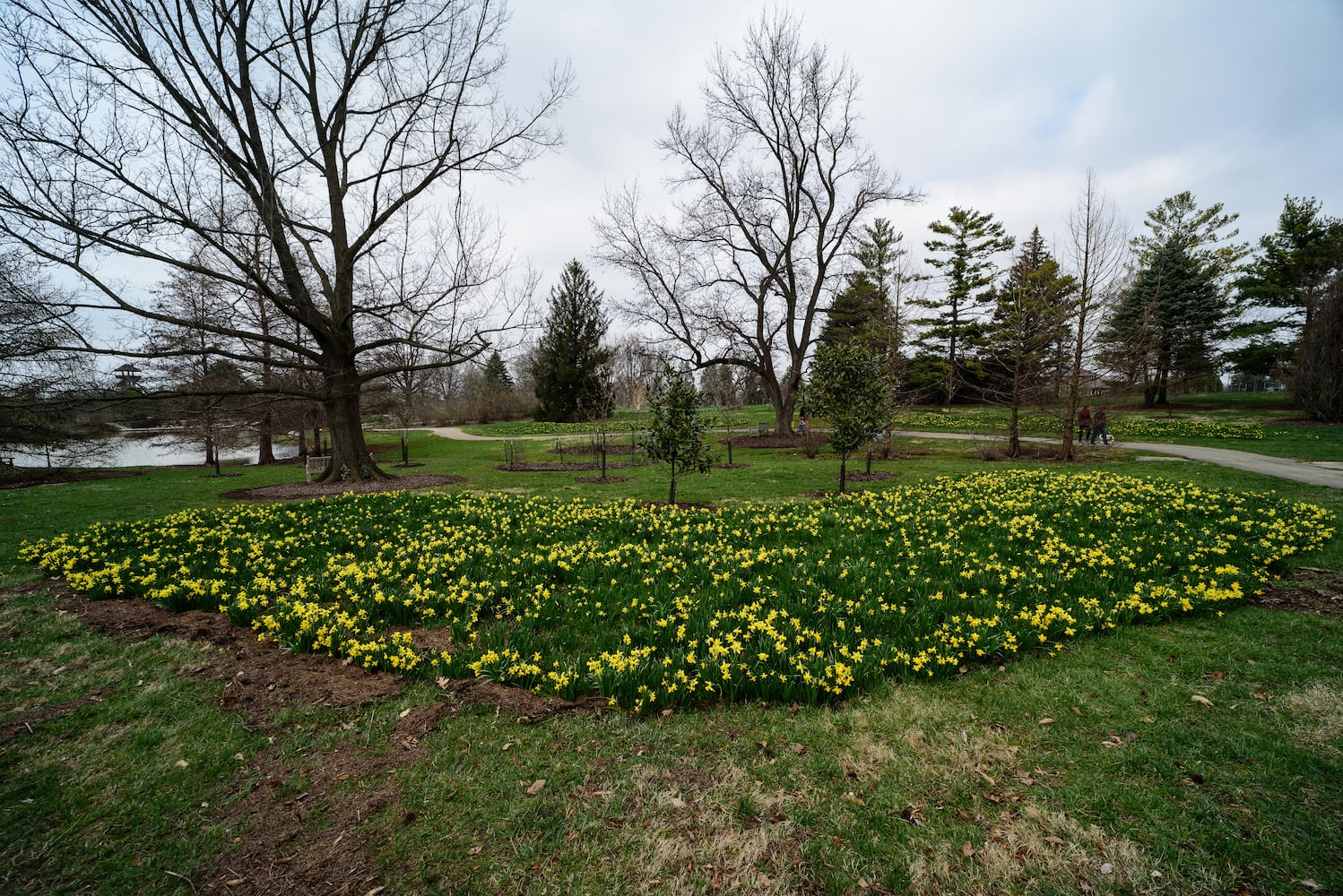 PHOTOS: Take a walk through beautiful Cox Arboretum this spring