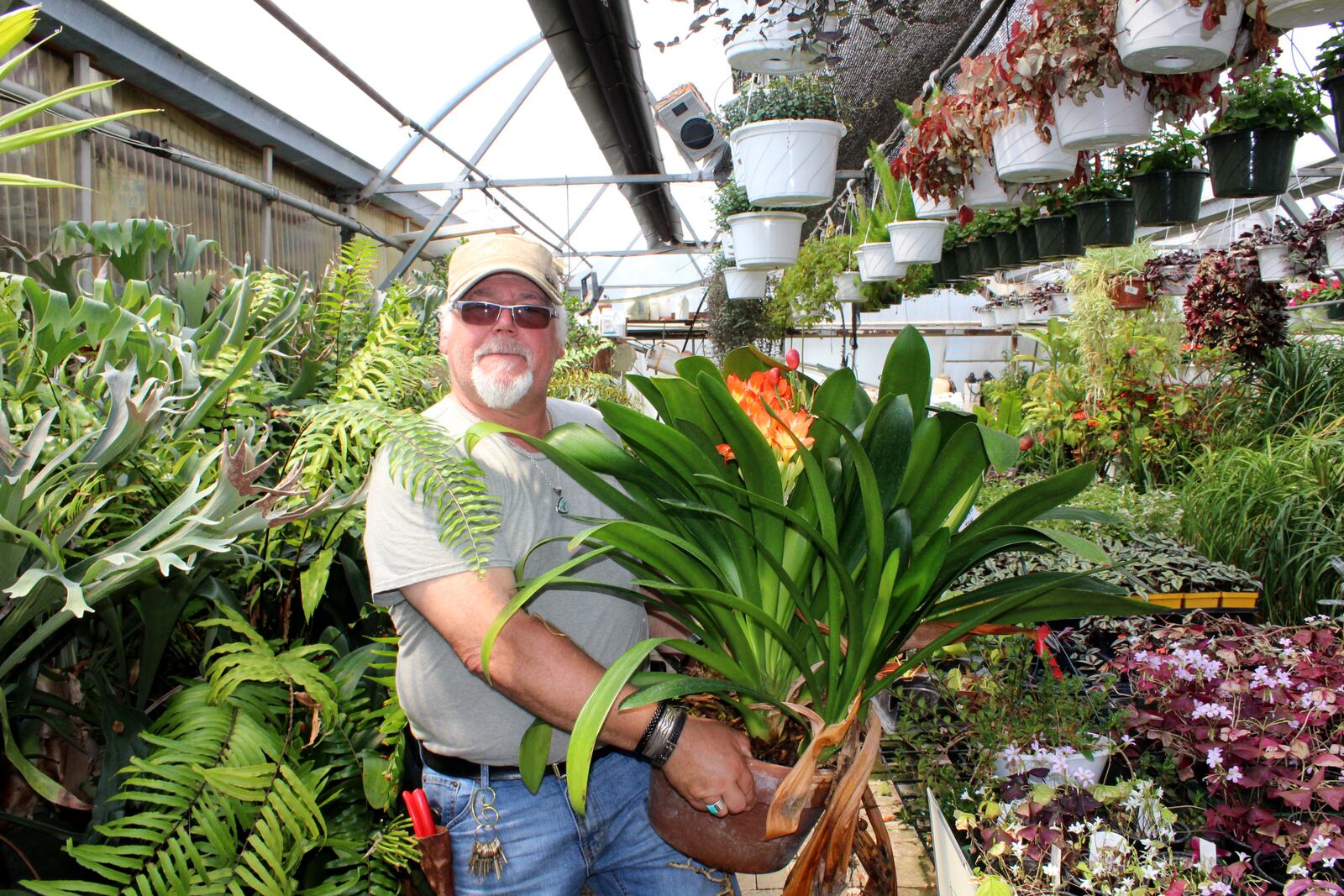 We take you inside of North Dayton Garden Center. Co-owner Rick Kossoudji holds a Clivia Lily. Photo by Amelia Robinson