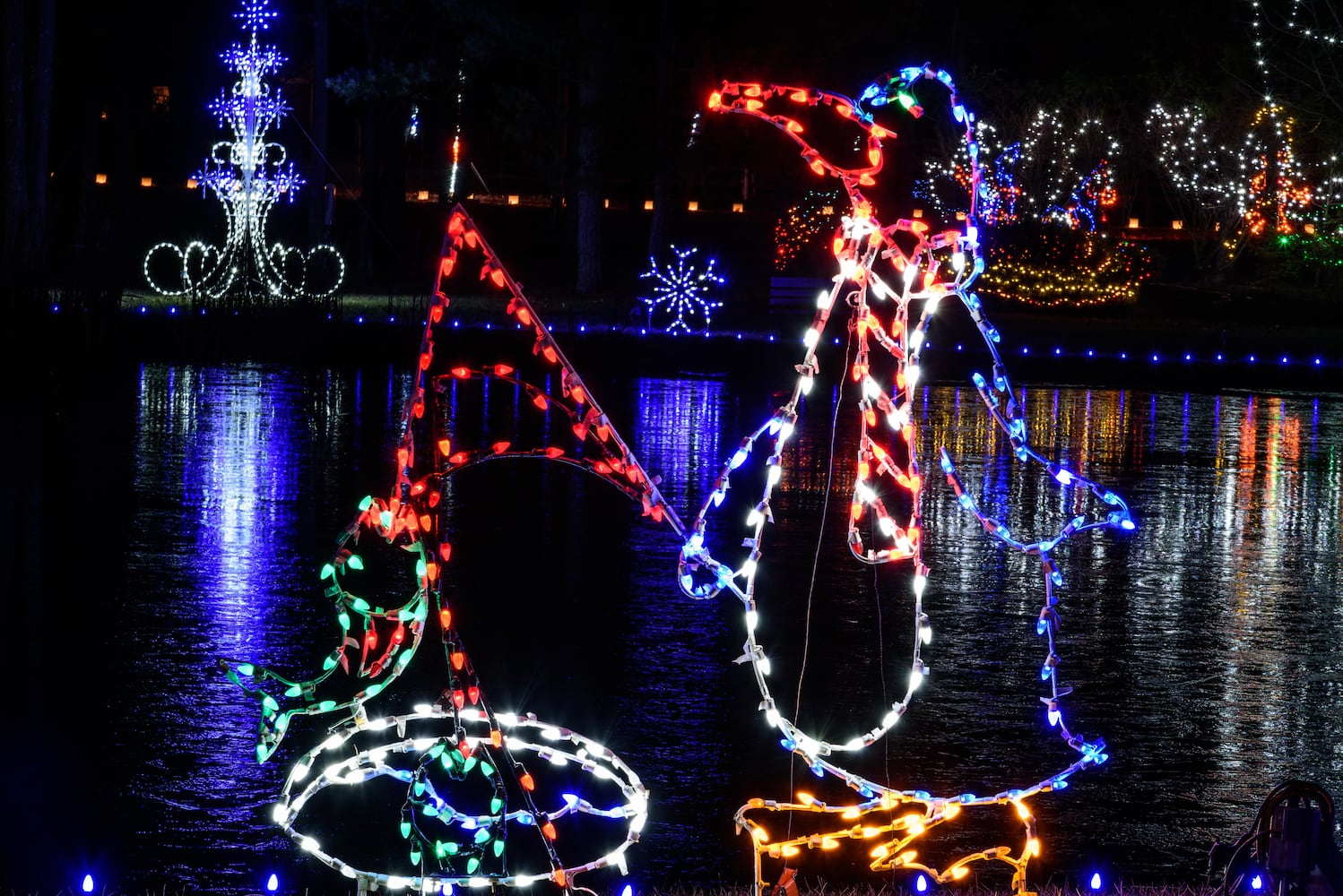 PHOTOS: A walk through Woodland Lights in Washington Township