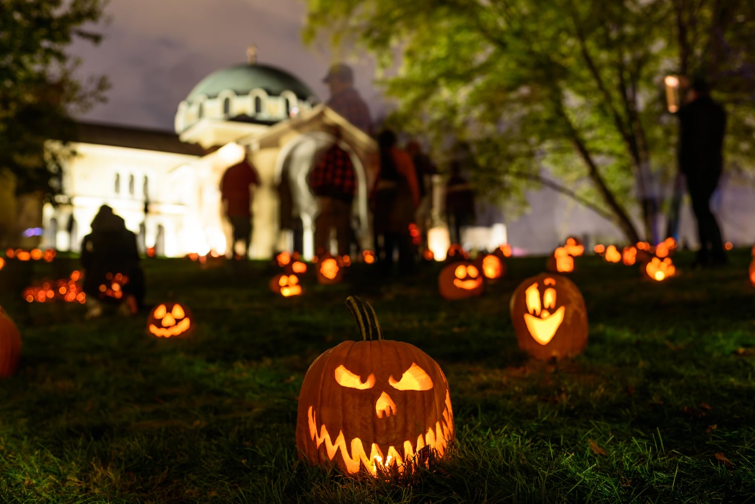 PHOTOS: 2025 Stoddard Avenue Pumpkin Glow