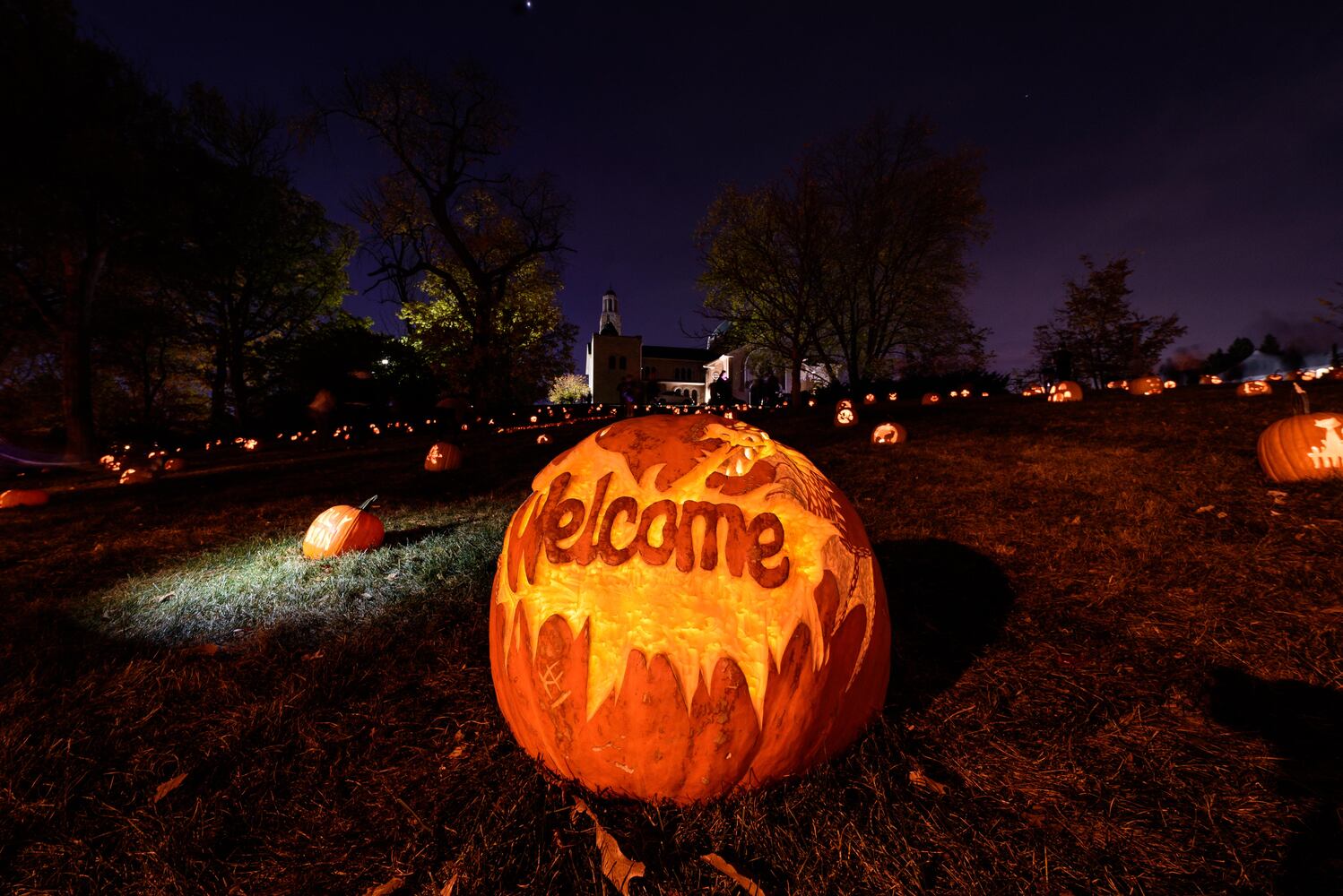 PHOTOS: The Stoddard Avenue Pumpkin Glow