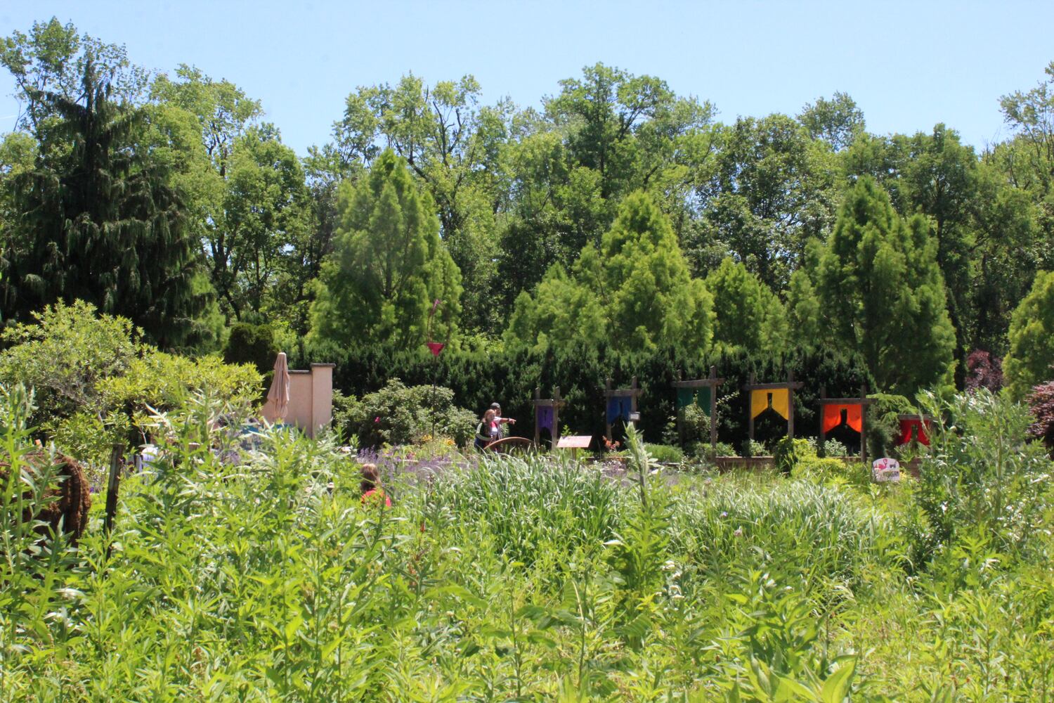 Photos: ‘extraordinary’ damage to parts of  Wegerzyn MetroPark, some parts mostly untouched