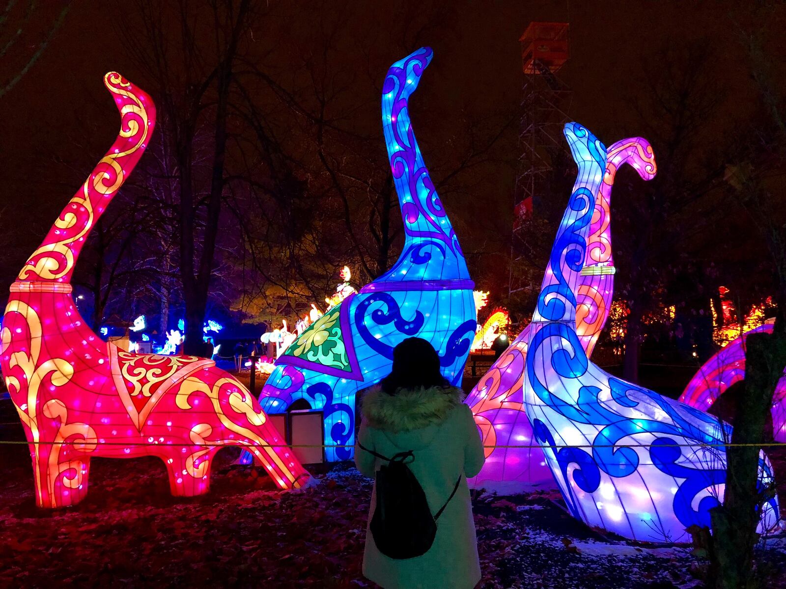 Ohio Chinese Lantern Festival is returning to the Expo Center with bigger and brighter lights this winter!