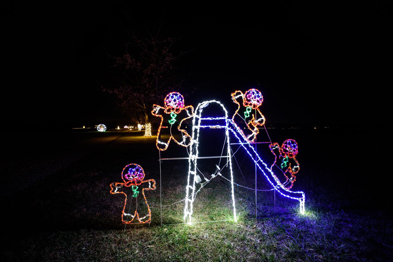 PHOTOS: Holiday Lights dazzle at Lost Creek Reserve in Troy