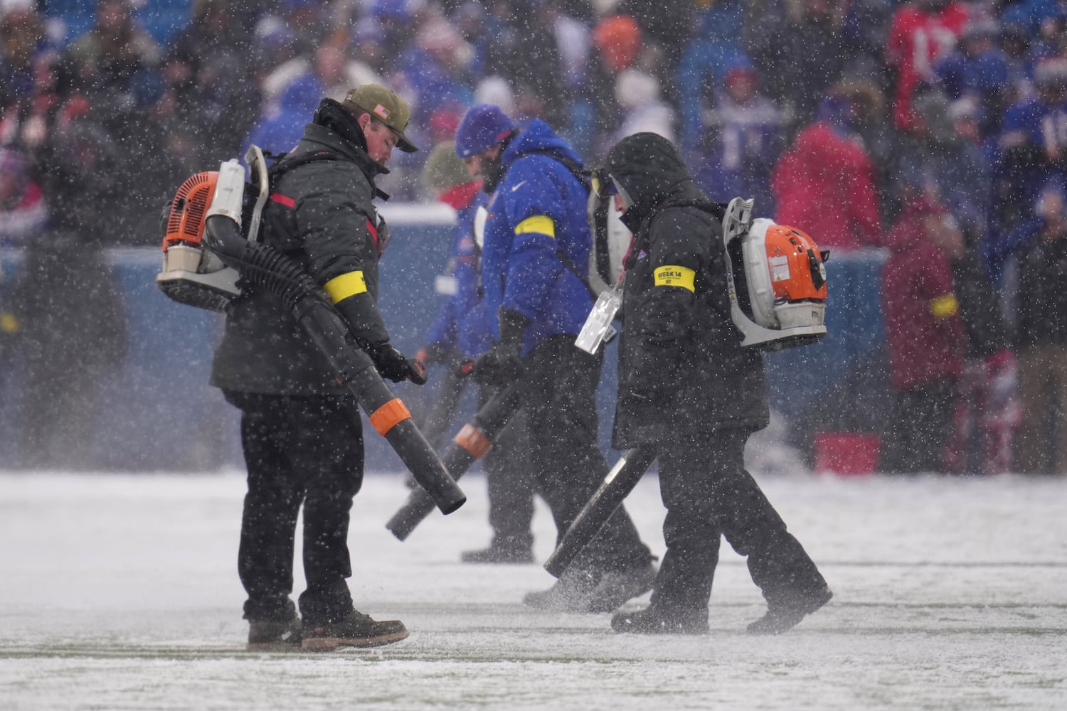Bengals Bills Football