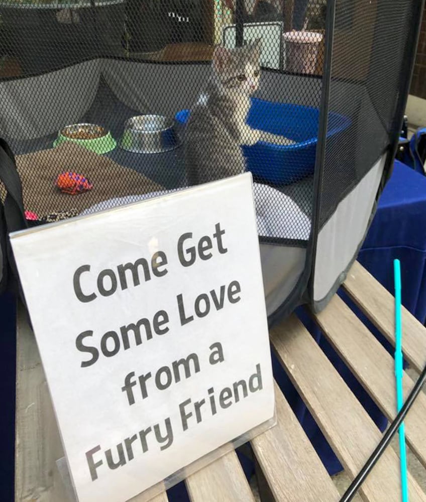 PHOTOS: Animals offer loving snuggles in the Oregon District