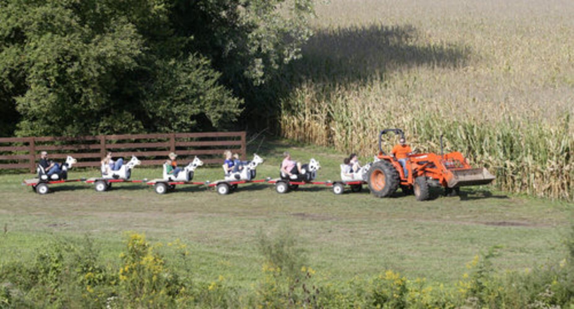 Adventure Acres Corn Maze