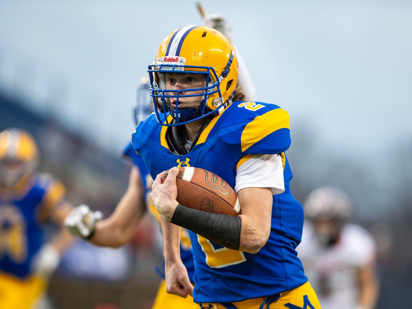 hsfb