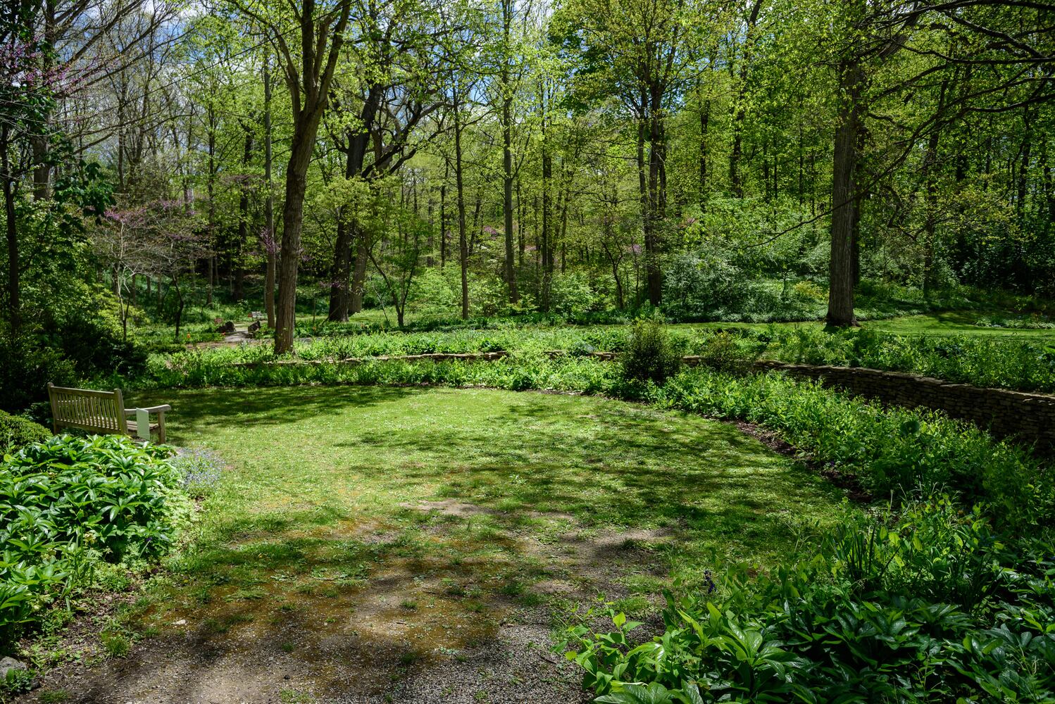 PHOTOS: Gorgeous Aullwood Garden is in full bloom