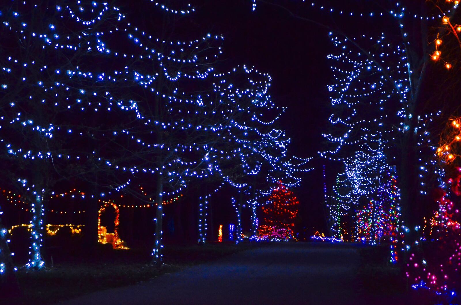 Holiday Lights on the Hill at Pyramid Hill 