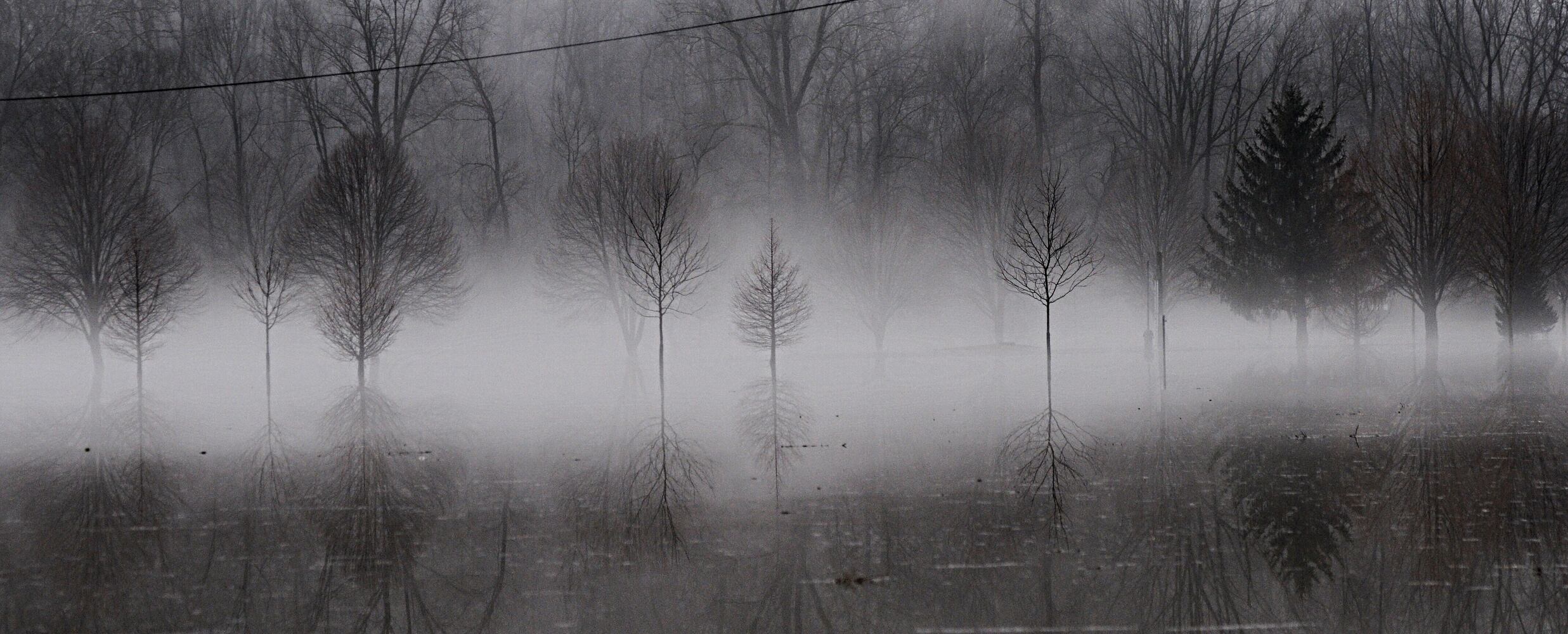 SEE: Wet weather offers photographic fodder