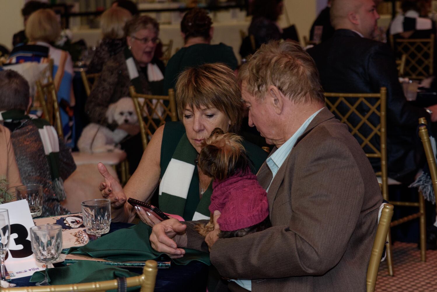 PHOTOS: Did we spot you at the Pet Afflaire Gala at the Dayton Arcade?