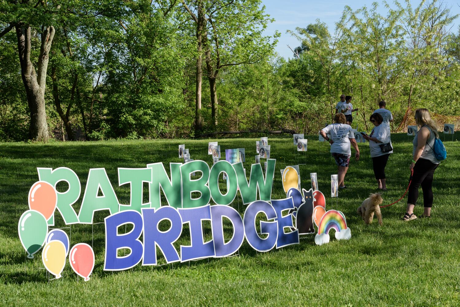PHOTOS: Did we spot you and your doggie during the Furry Skurry 5K & Furry Fest at Eastwood MetroPark?