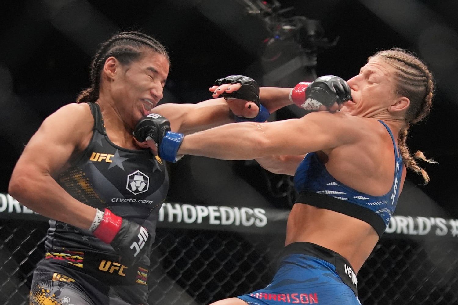 UFC 316 Mixed Martial Arts