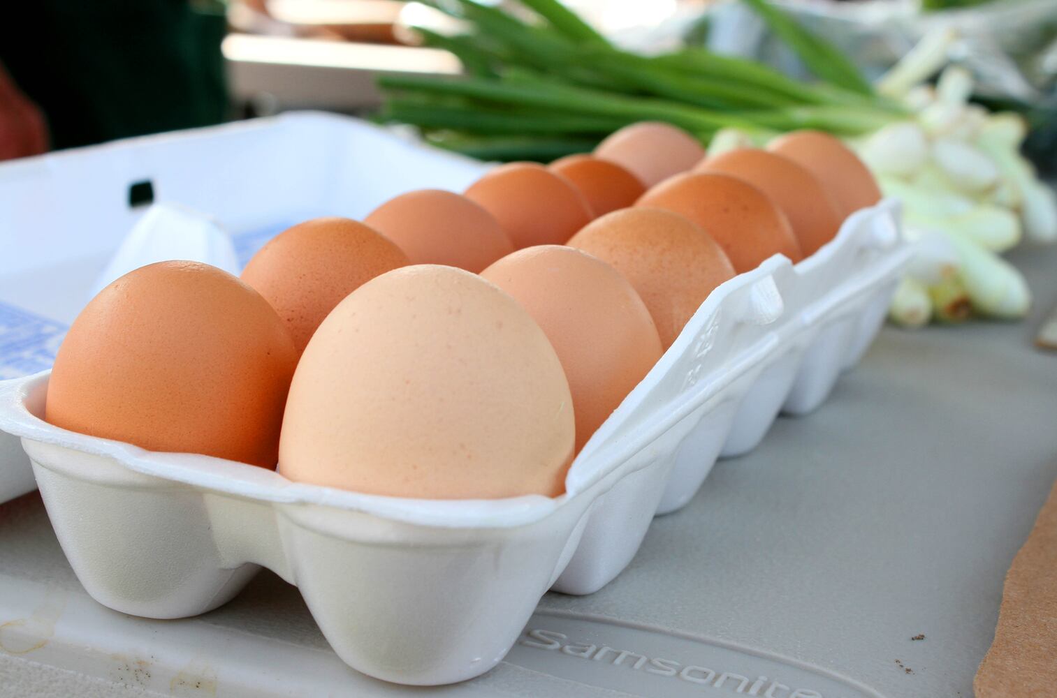 8 most common food allergens: Eggs