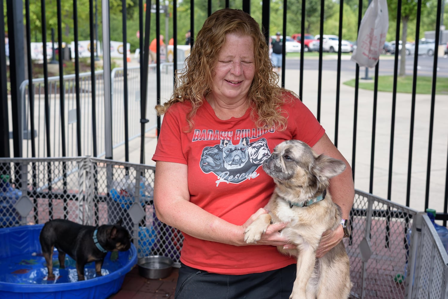 PHOTOS: 2025 Bites in the Heights at Rose Music Center
