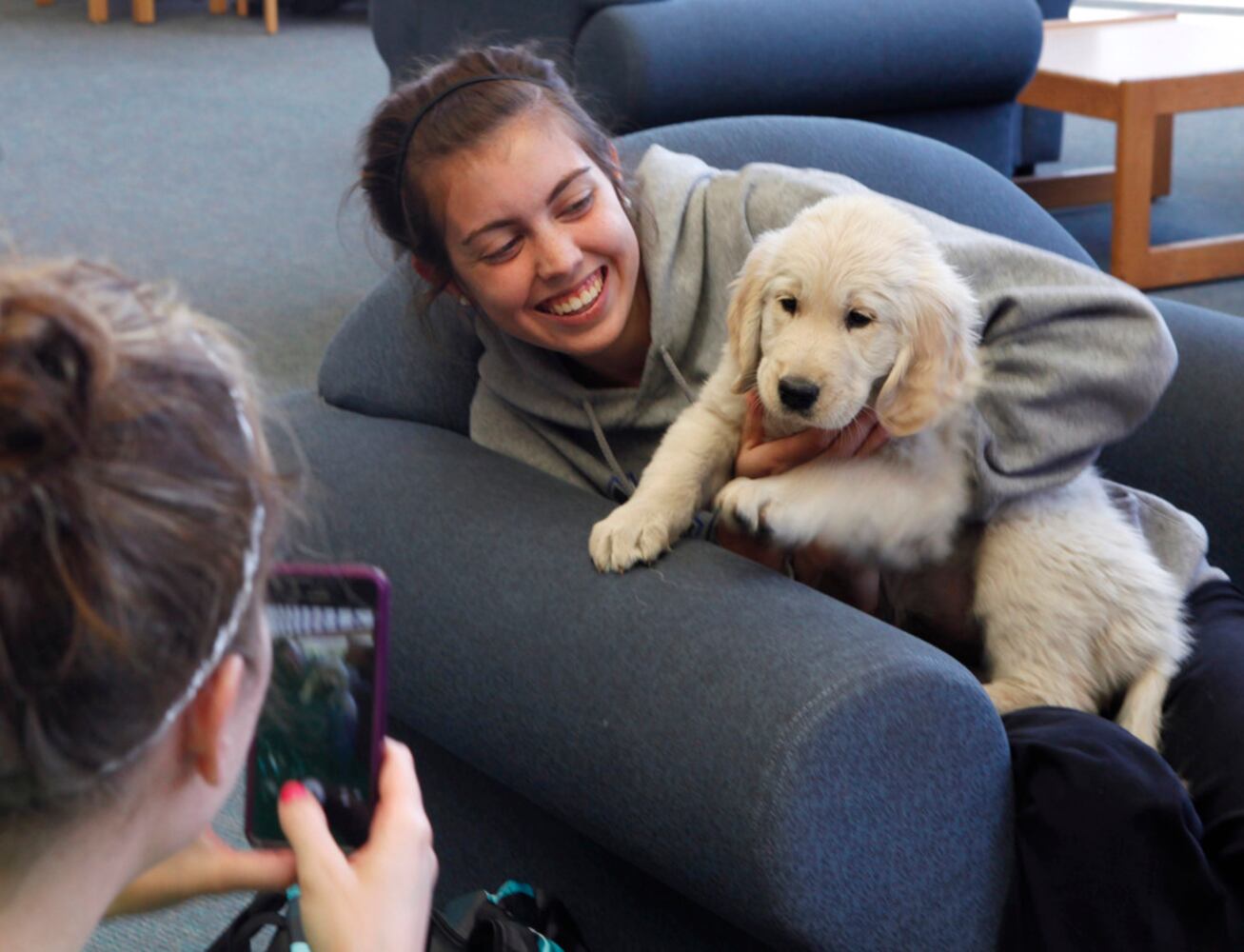 Puppy Therapy for WSU Students