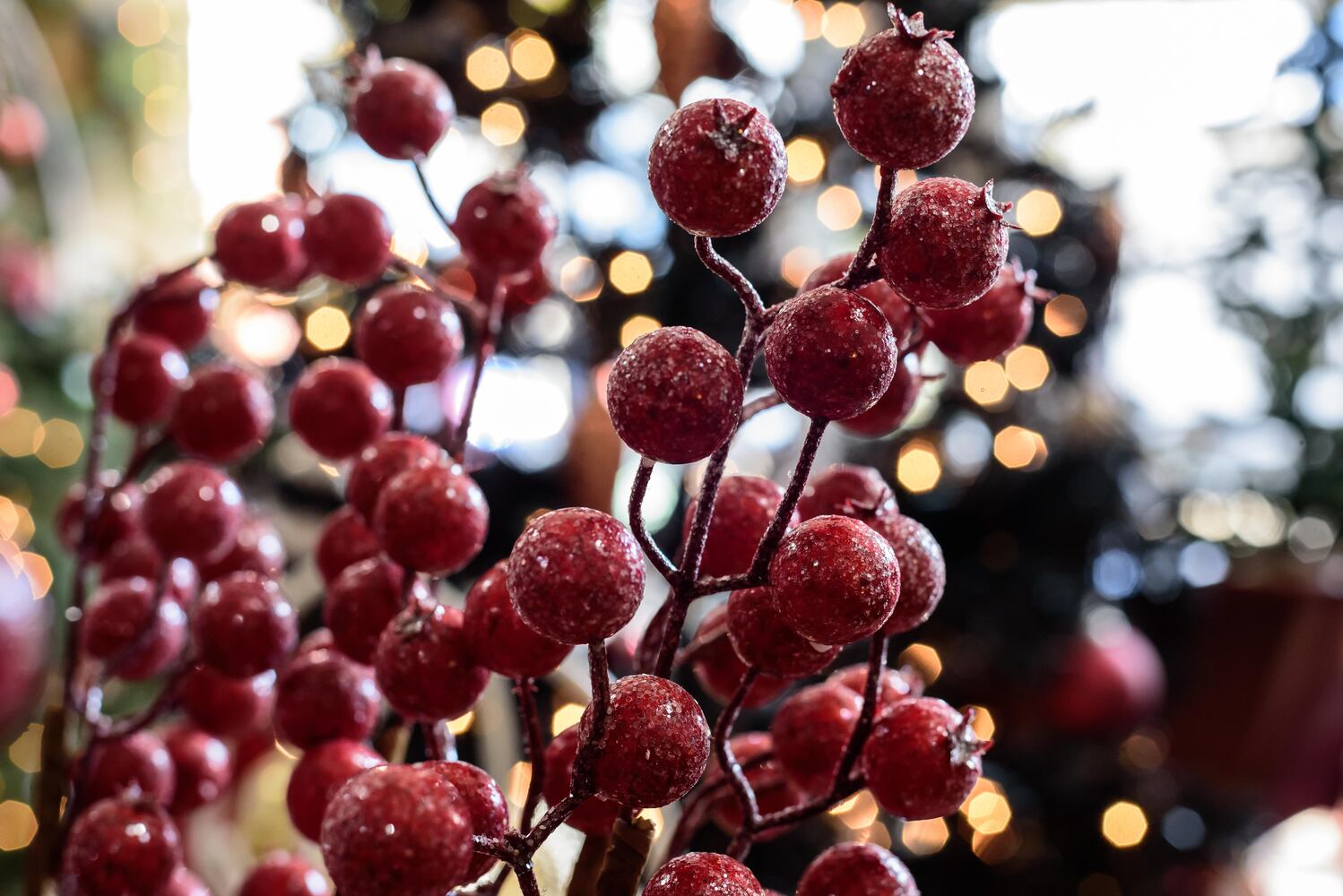 PHOTOS: Did we spot you at Hearthwarming Holidays in downtown Waynesville?