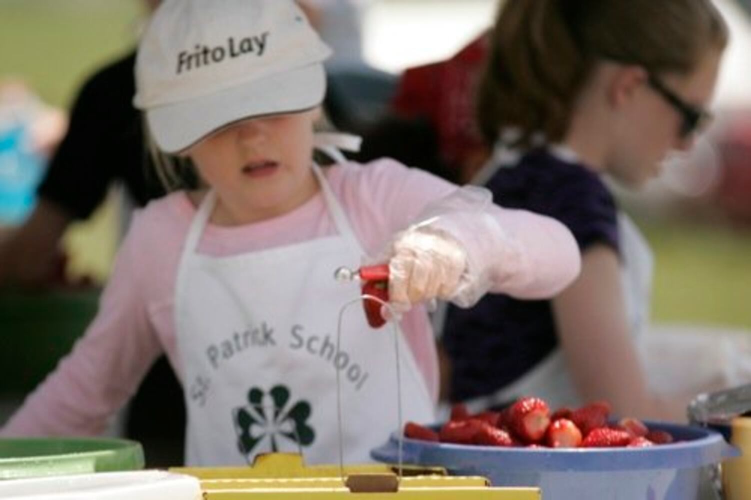 Troy Strawberry Festival