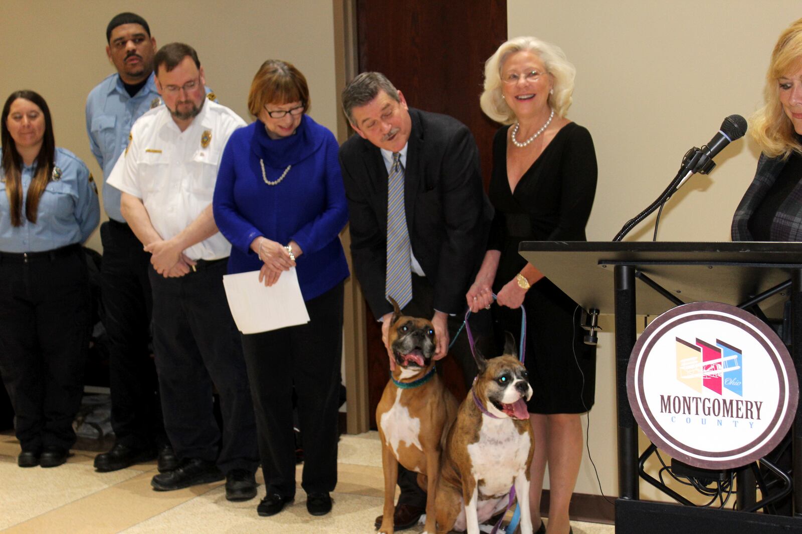 Murdock, a 7-year-old boxer owned by local philanthropist Teresa Huber. was given the fist Montgomery County dog license of 2017.  Huber’s other boxer Tena  holds the second license as part of a fund raiser for The Humane Society of Greater Dayton. Third went to Winston, Montgomery County auditor Karl Keith’s 4-year-old  Collie--shepherd mix.