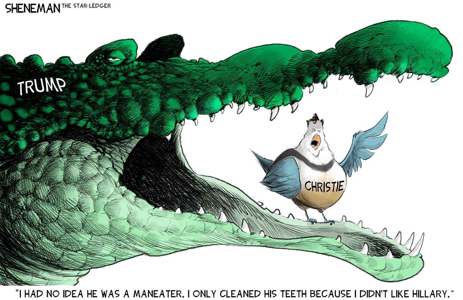 WEEK IN CARTOONS: Trump indictment, school shooting and more