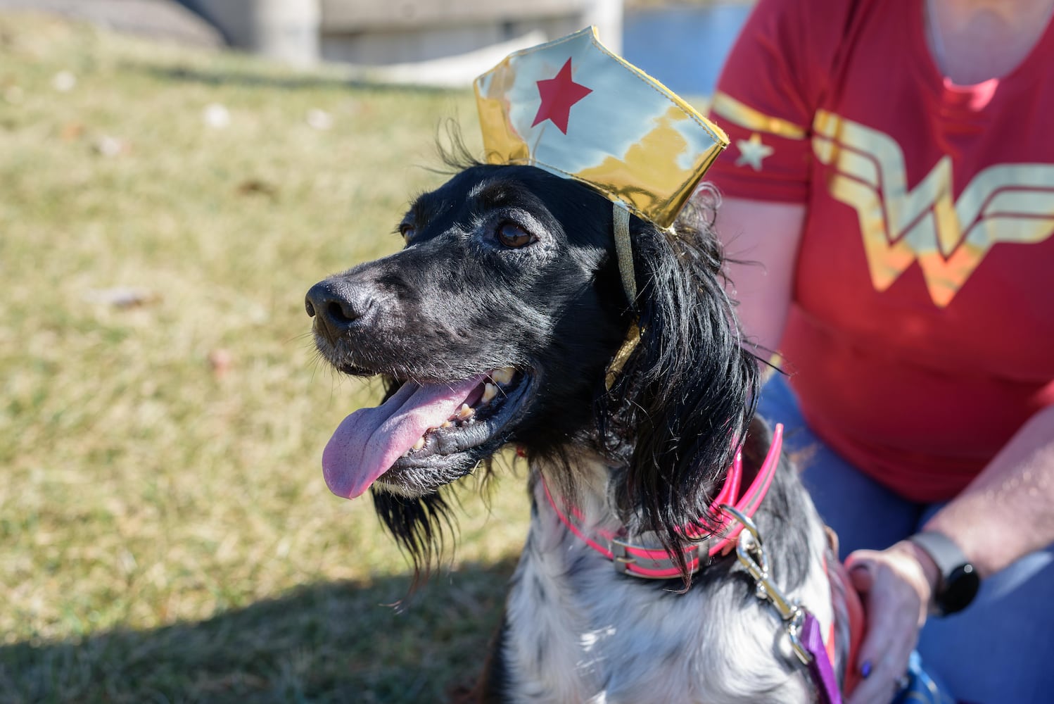 PHOTOS: Did we spot you and your dog at Wag-O-Ween at the Kettering Recreation Center?