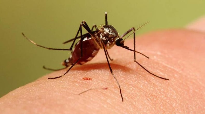 Only a few of the 59 species of mosquitoes in Ohio can transmit disease. However, the diseases these mosquitoes can carry are very serious and include: Eastern equine encephalitis, La Crosse encephalitis, St. Louis encephalitis and West Nile virus. CONTRIBUTED