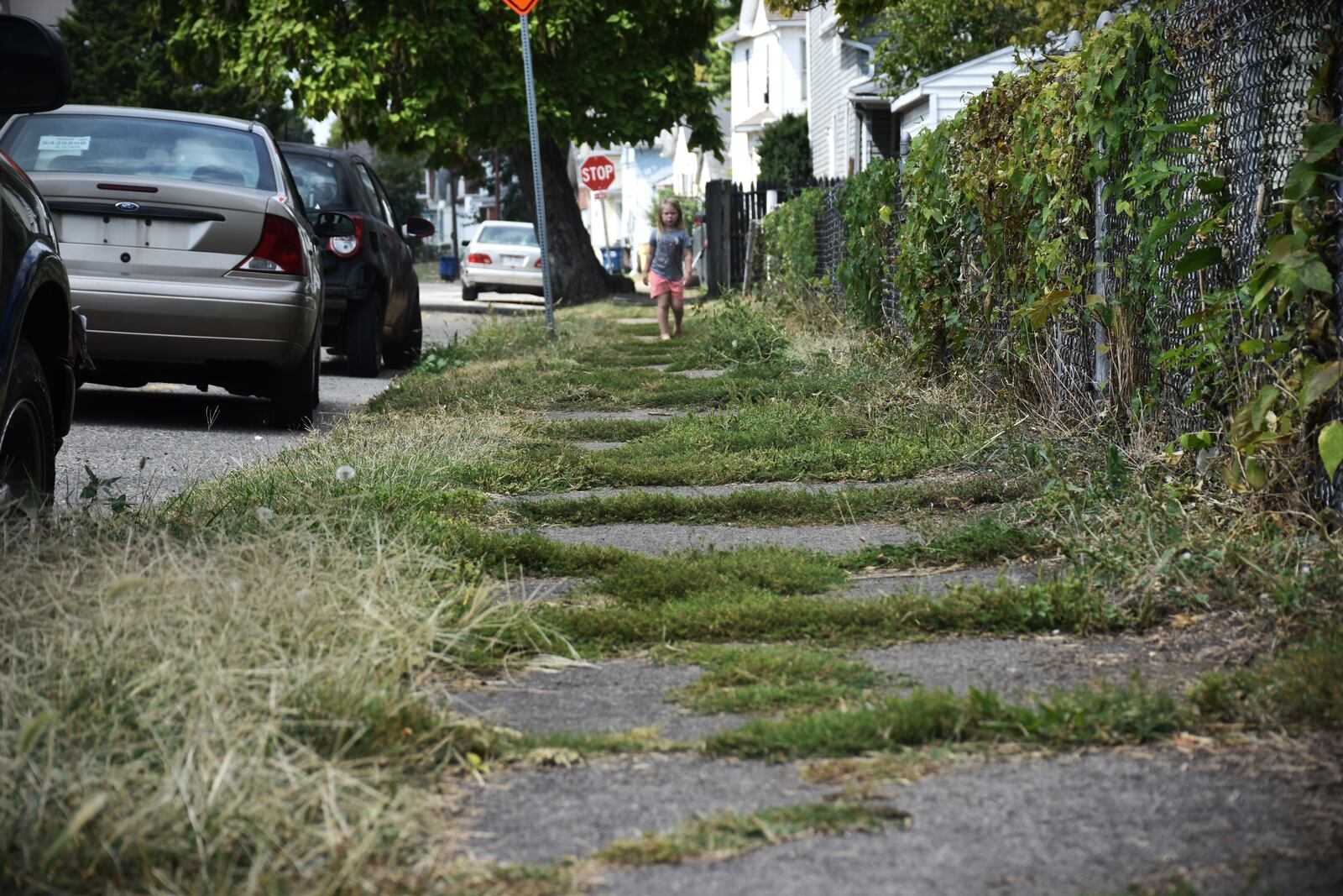 Grass and weeds grow out of cracks on the sidewalk on Clover Street in East Dayton. The city of Dayton plans to upgrade sidewalks on Clover Street and other roads in the Twin Towers neighborhood. CORNELIUS FROLIK / STAFF