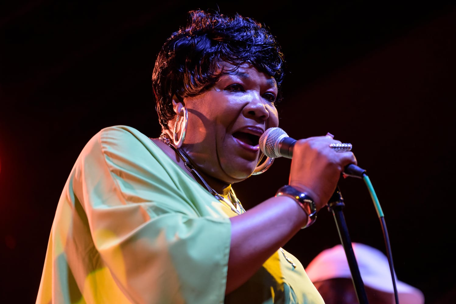 PHOTOS: 2025 Springfield Jazz & Blues Festival