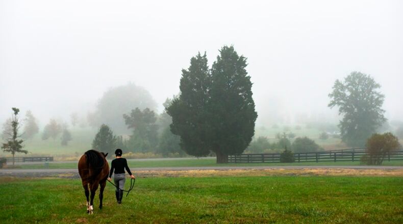 Ashley Peterson, the equestrian manager at Salamander Resort & Spa, in Middleburg, Va., Sept. 28, 2015. There are thriving horsy communities outside Chicago and down in North Carolina, but there is a swath of horse country that loops around Washington, D.C.