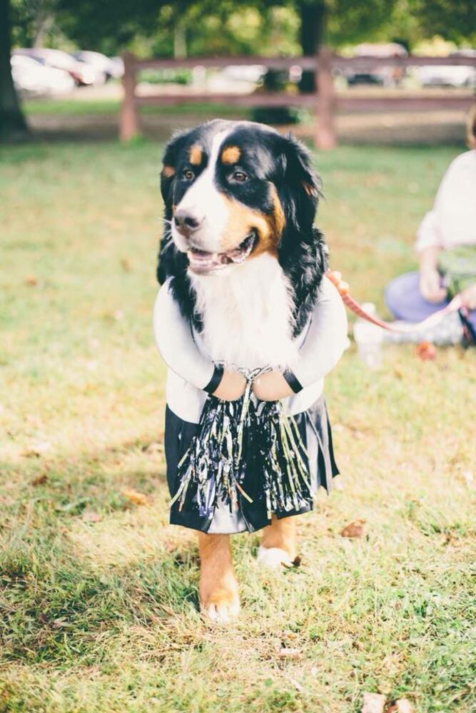 PHOTOS: Local pets ready for Halloween