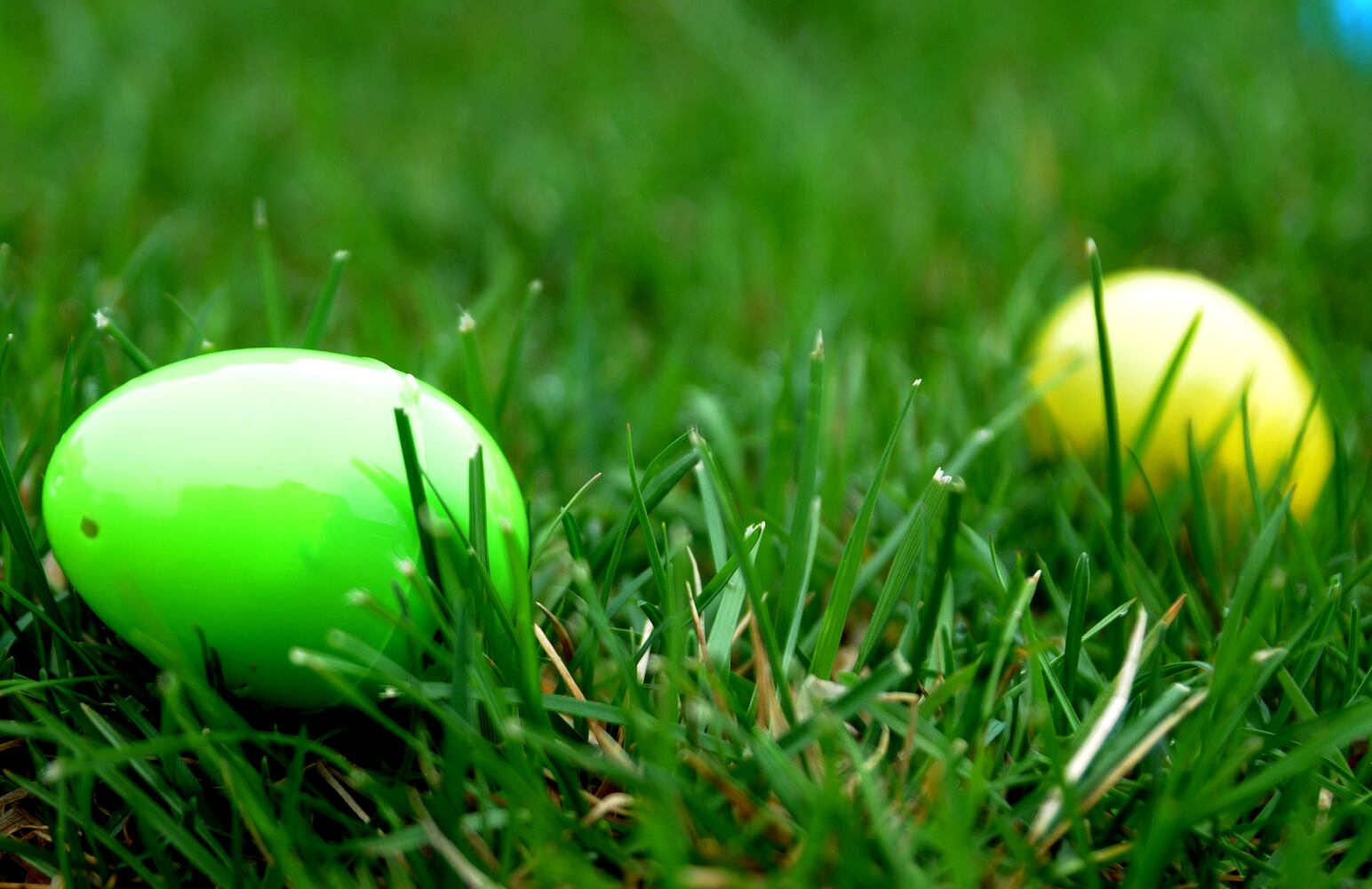 PHOTOS: Did we spot you at the Lost in the City egg hunt downtown