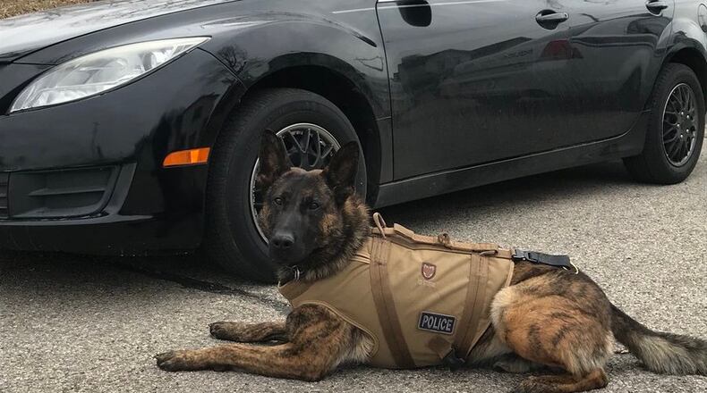 Middletown police dog Koda beside a stolen car recovered today. MIDDLETOWN DIVISION OF POLICE