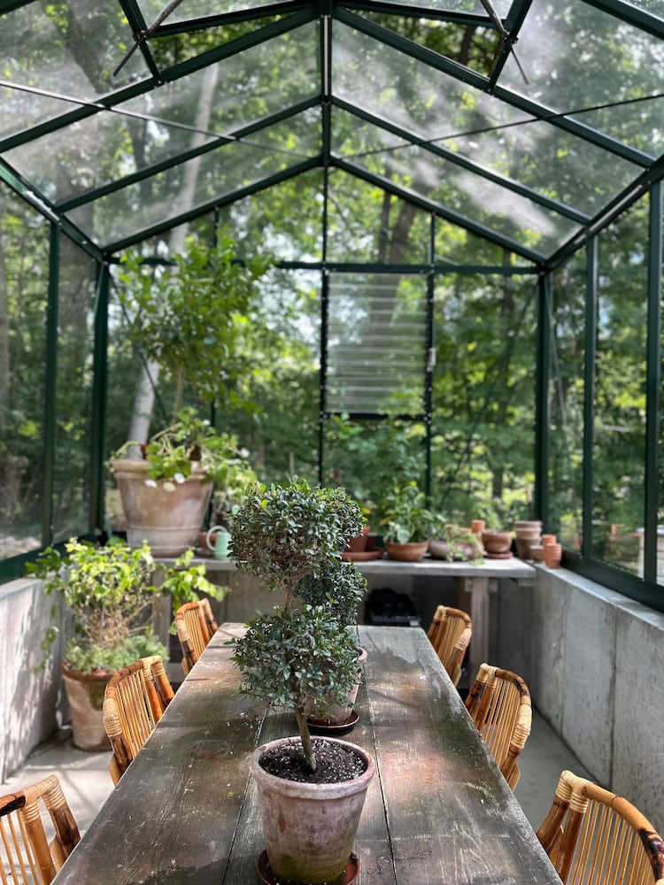 Sarena Kelley Oakwood Avenue