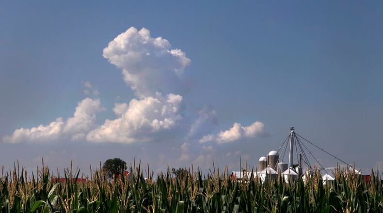 Clouds billow over corn fields that will soon be ready for harvest near Jackson Twp. in the western part of Montgomery County. LISA POWELL / STAFF