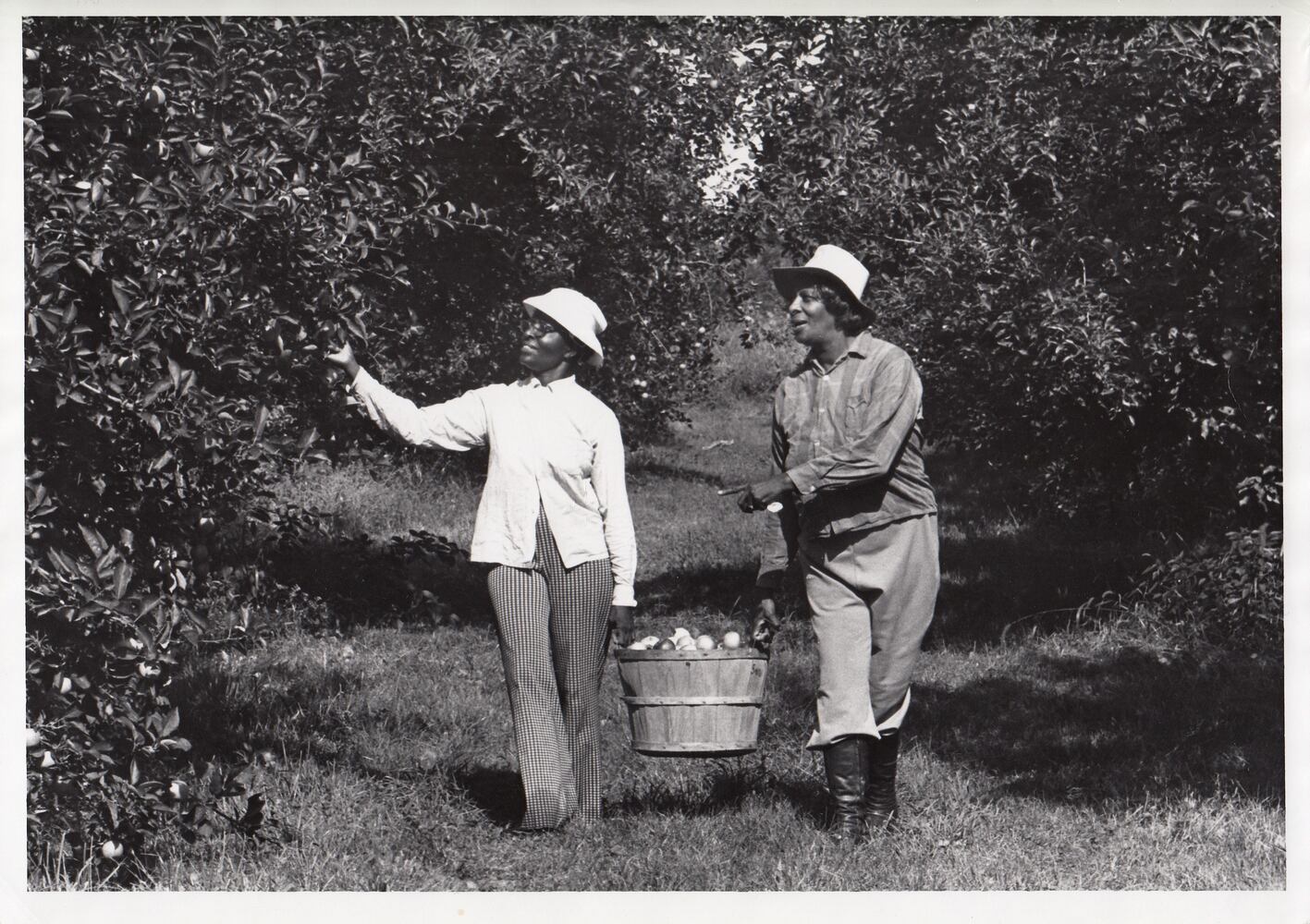 Photos: Monnin Fruit Farm through the years