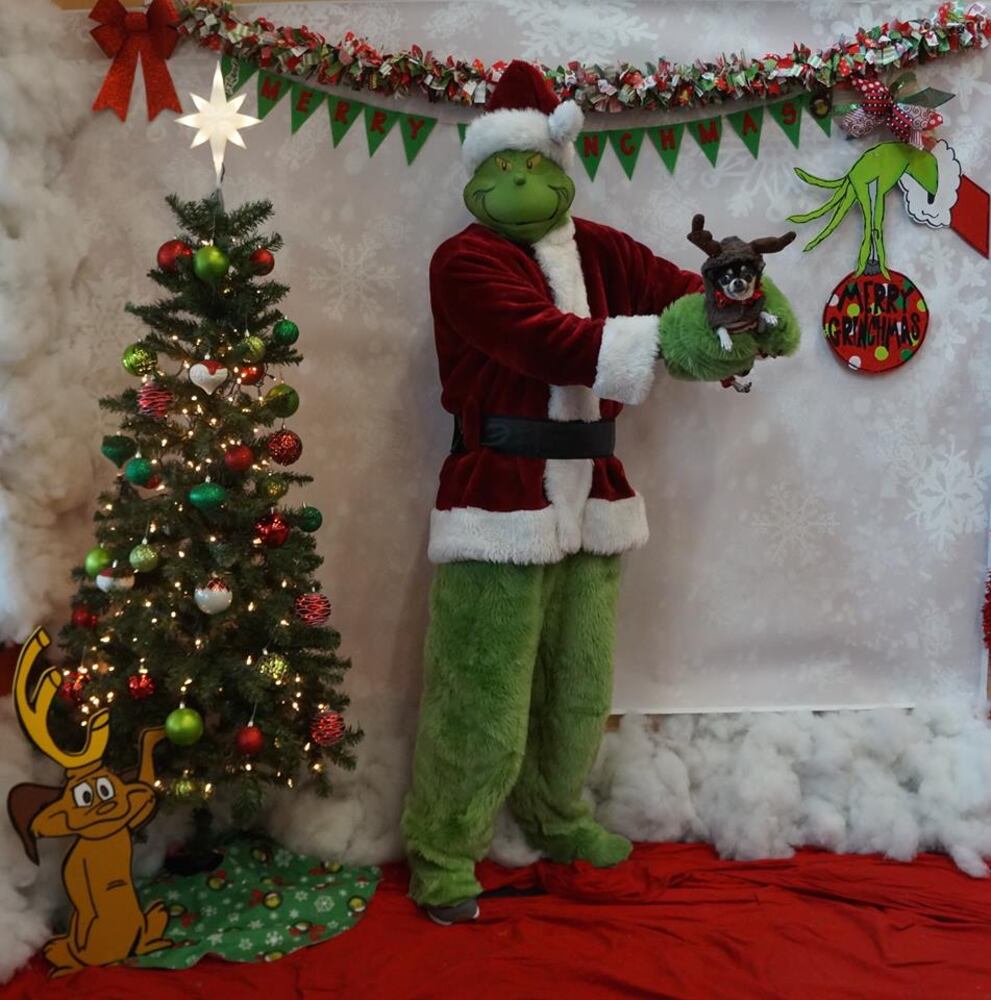 Your heart will grow three sizes when you see these hilarious Dayton family photos with the GRINCH