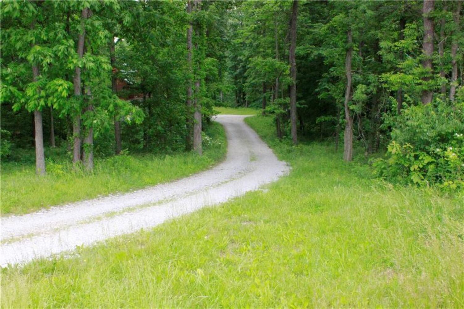 PHOTOS: Cabin home on 45.7 acres on market in Urbana
