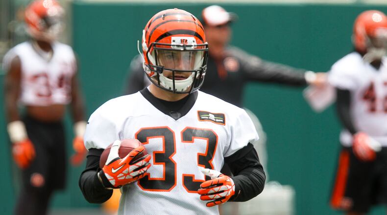 Running back Rex Burkhead (33) runs a play during the opening day of Cincinnati Bengals minicamp at Paul Brown Stadium, Tuesday, June 10, 2014. GREG LYNCH / STAFF