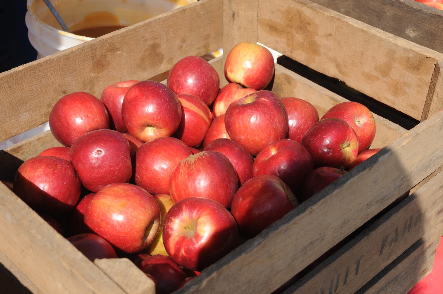 PHOTOS: Did we spot you at Lebanon Country Applefest?
