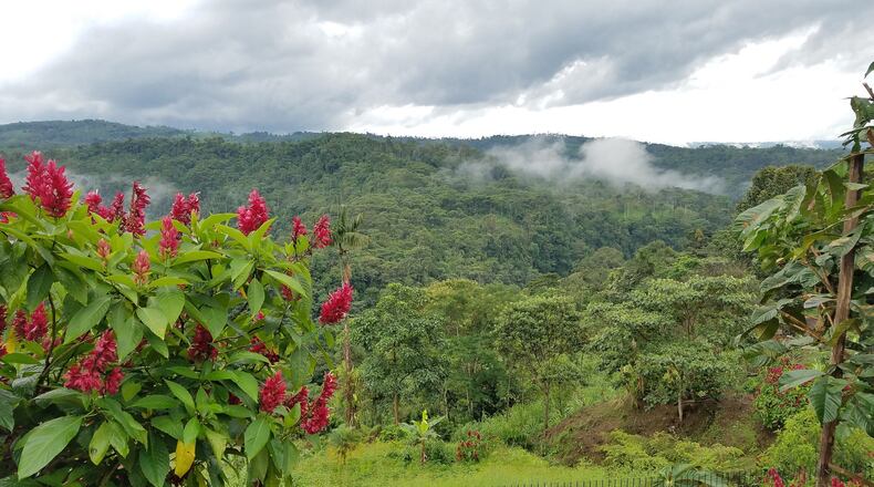 A scenic view of the mountains between Tena and Papallacta, Ecuador. (Caitlin E. O’Conner/Tampa Bay Times/TNS)