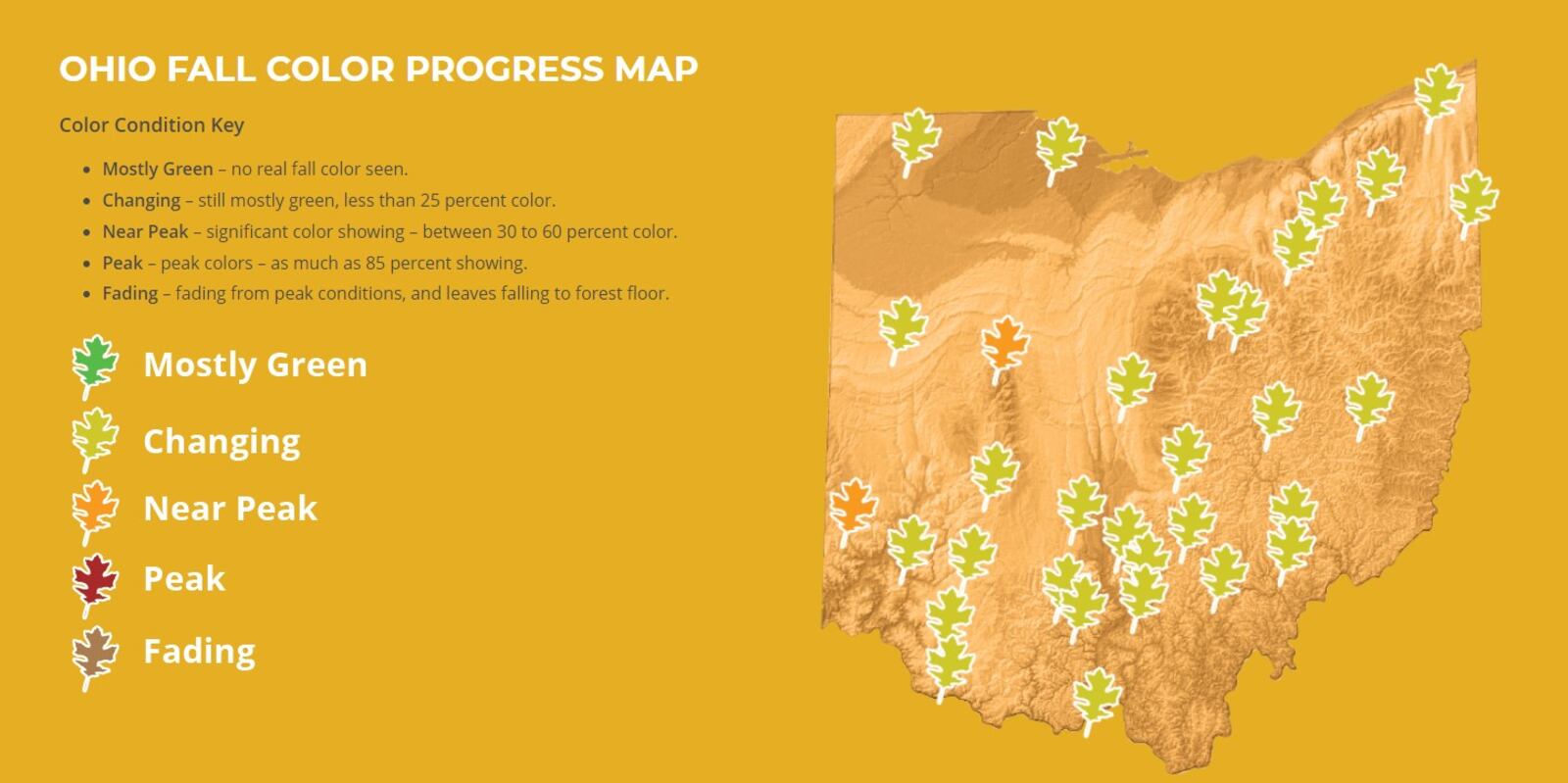 The Ohio Department of Natural Resources is marking the progress of leaves changing colors for the autumn season. Credit: The Ohio Department of Natural Resources