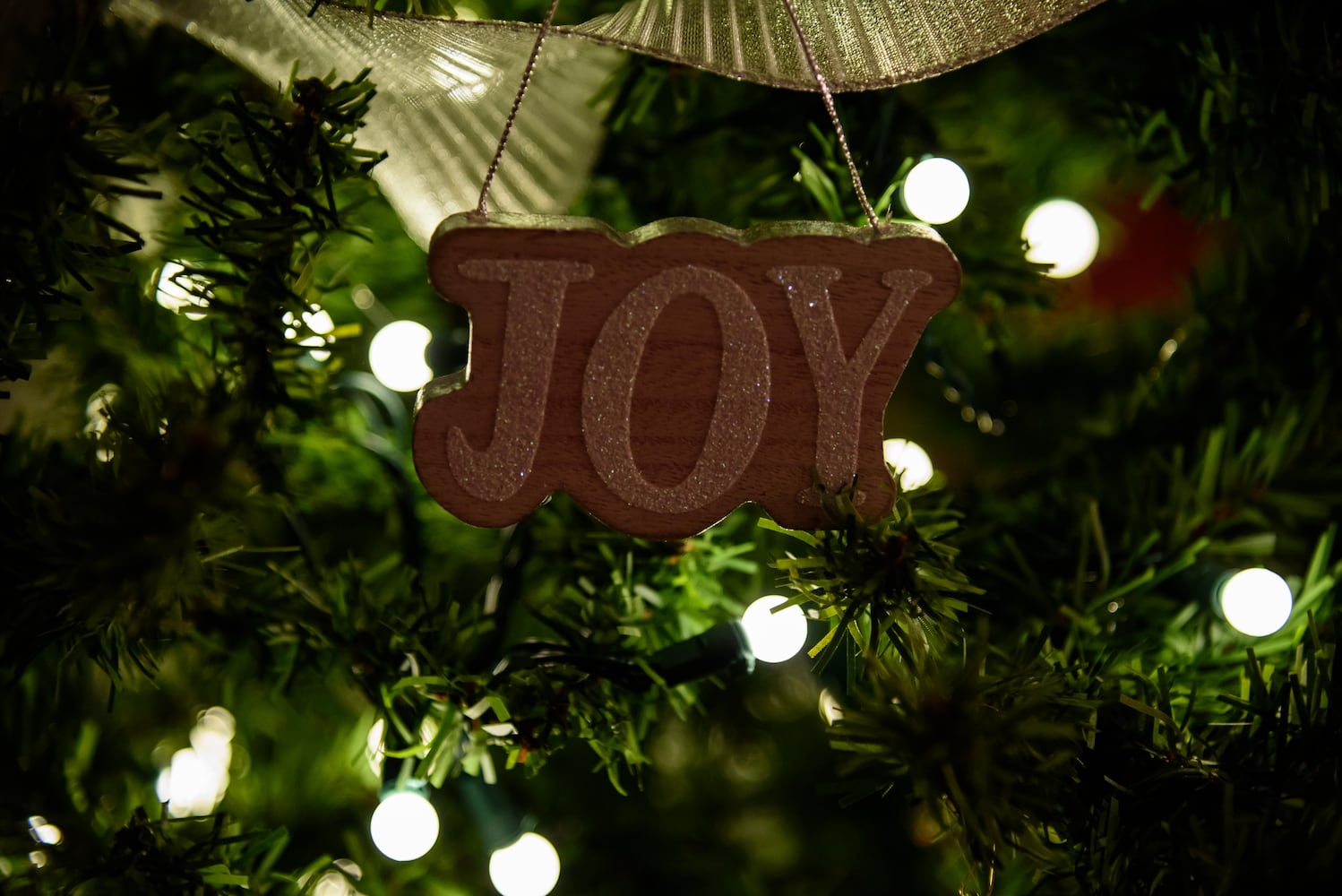 McPherson Town Holiday Home Tour