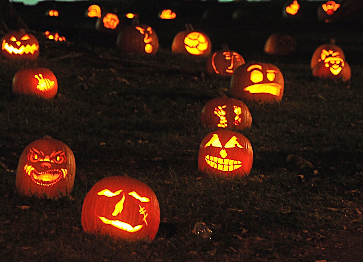 PHOTOS: The Stoddard Avenue Pumpkin Glow LIGHTS Dayton up for Halloween