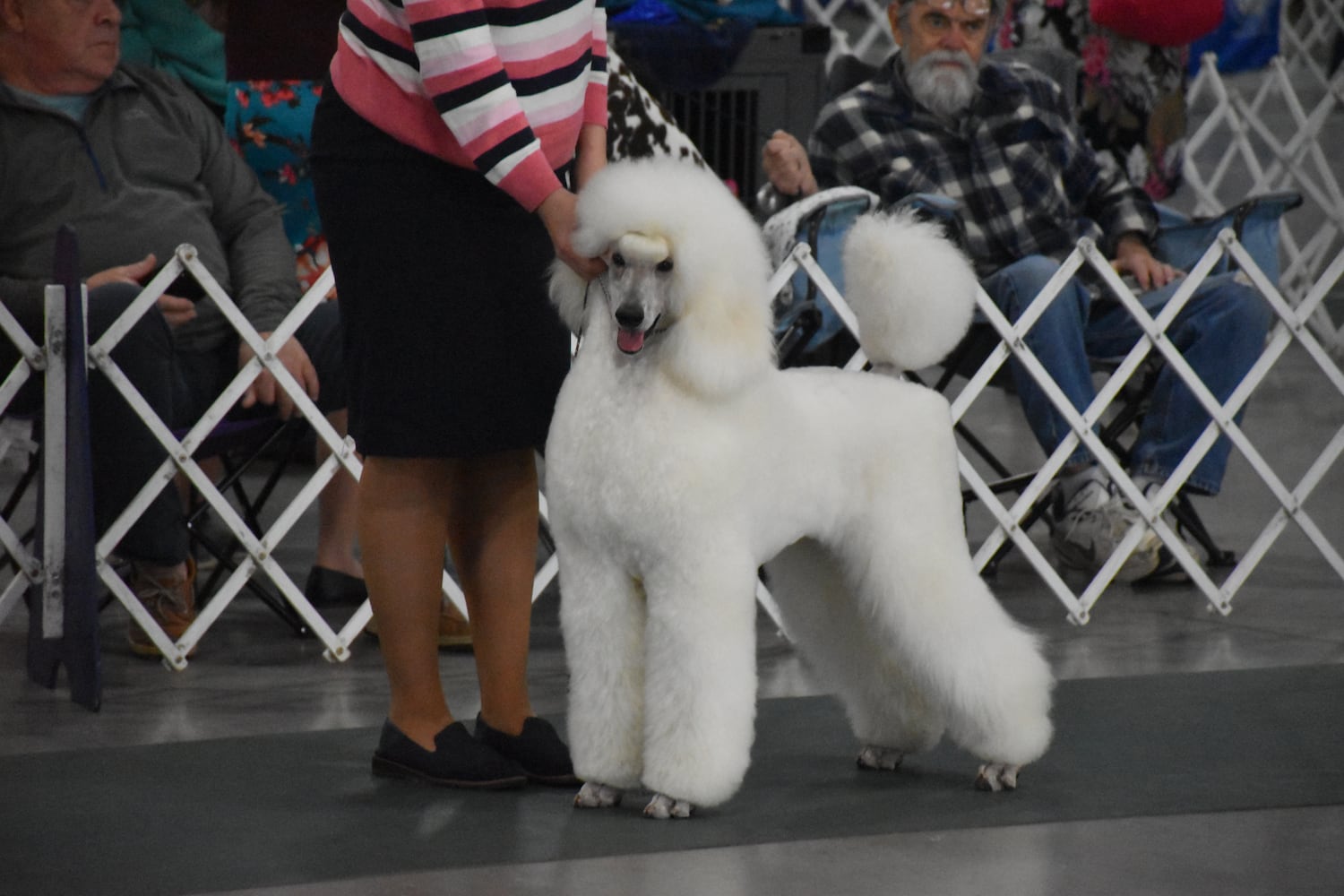Fort St. Clair Kennel Club Dog Show